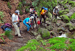 �V�l���}��