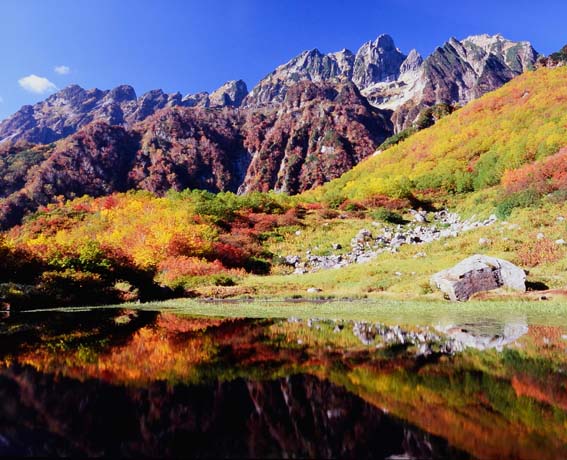 �P�O���@���яH�̗s����