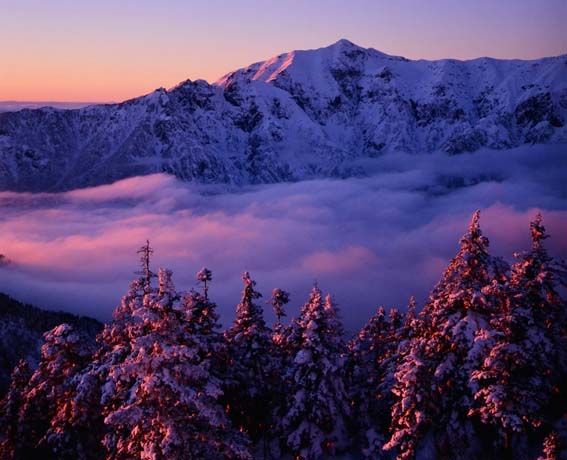 �P�Q���@���ԗŁ�