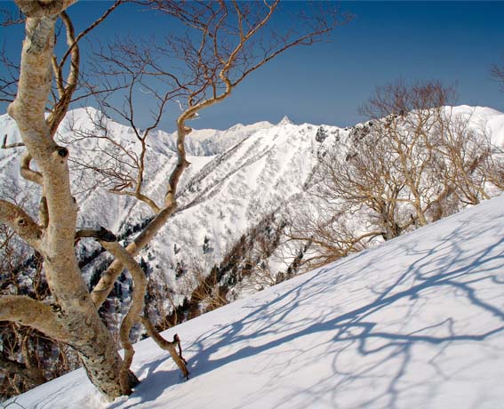 �S���@����