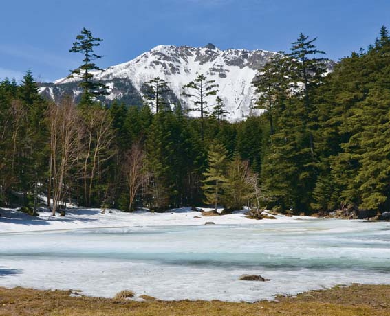 �T���@����