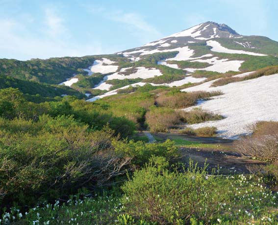  �U���@����