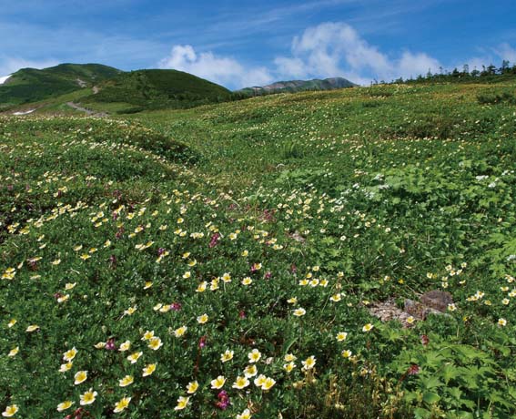 �V���@����