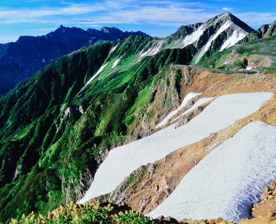 �W���@����