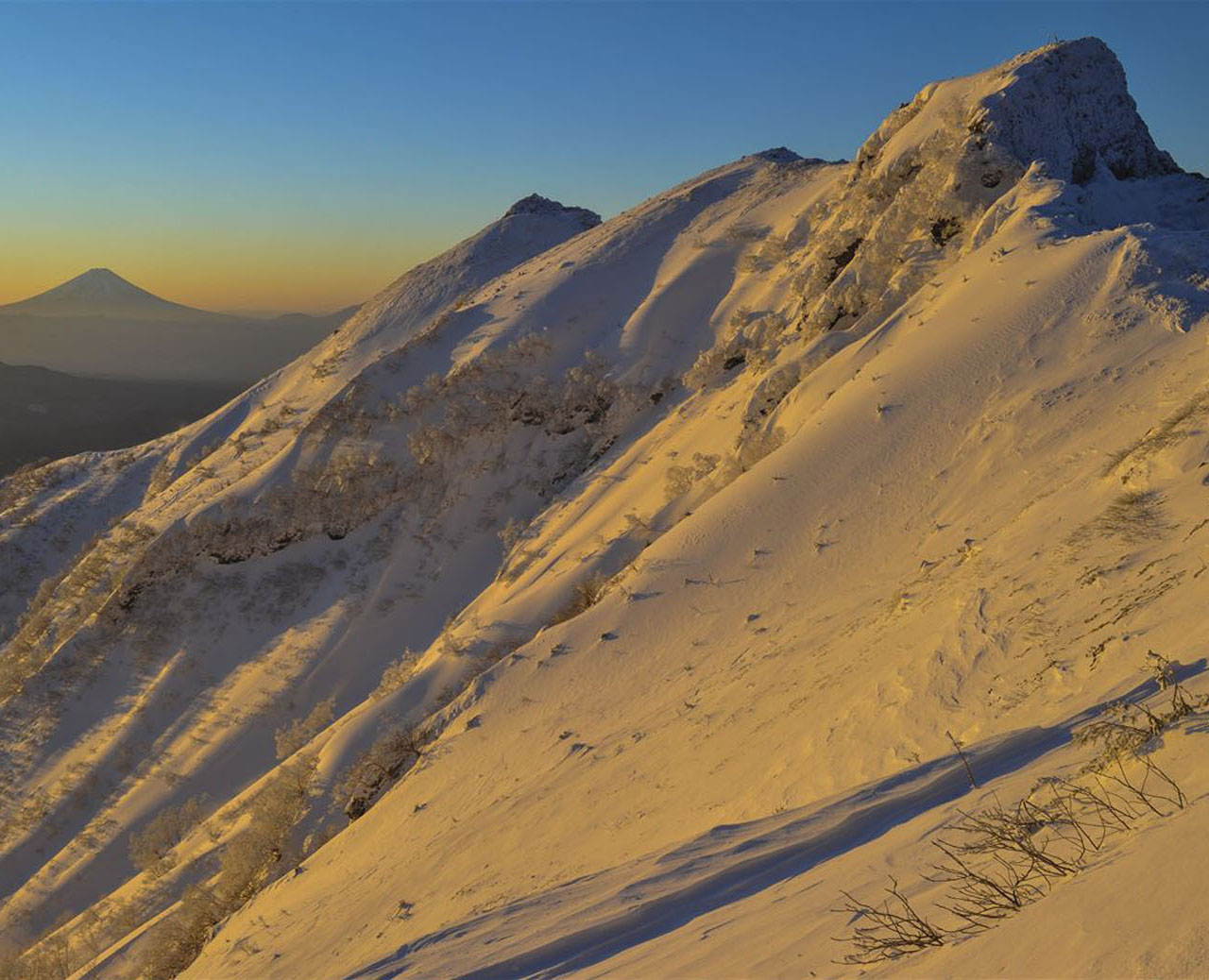 �P���@���u����