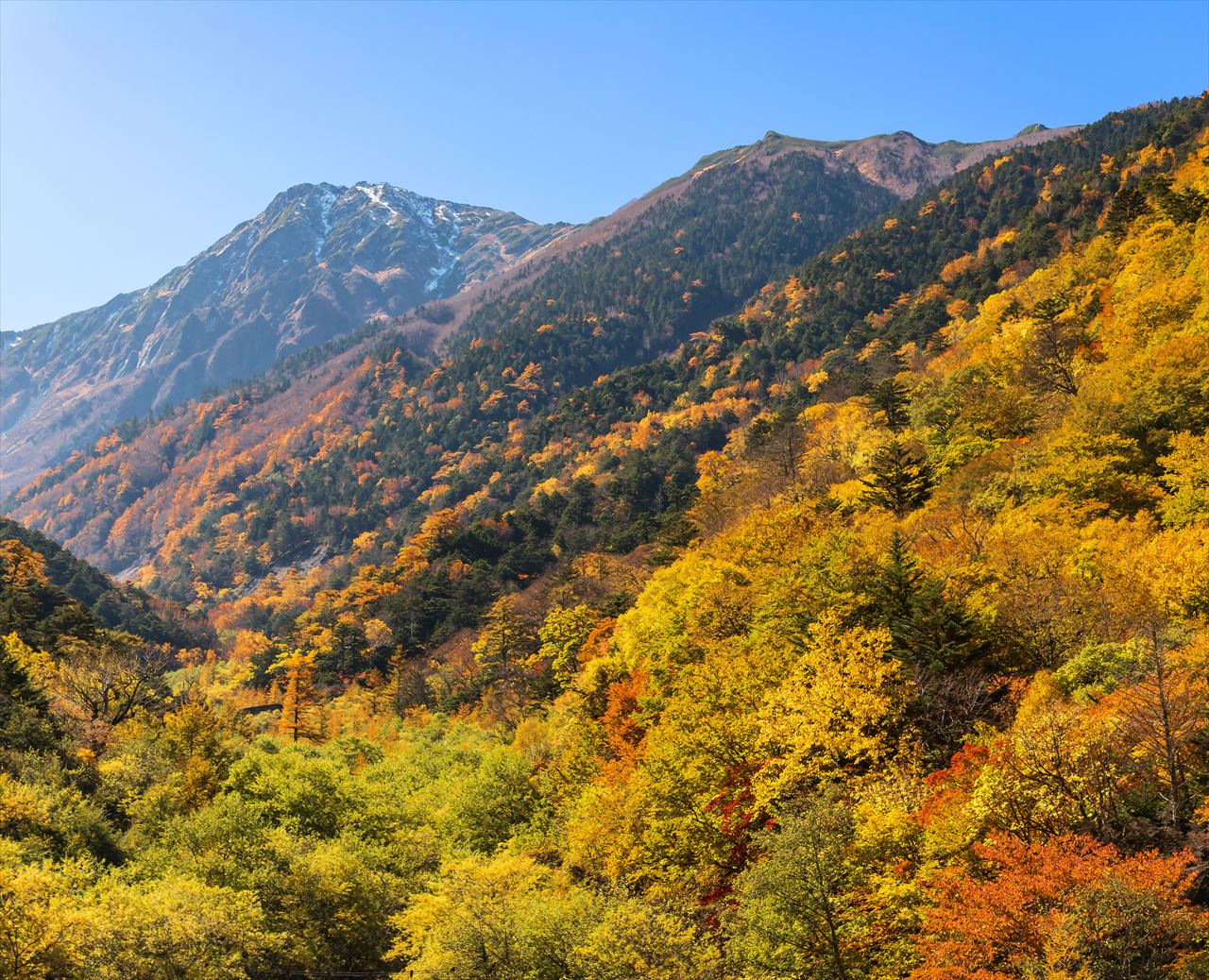 �P�O���@���яJ���܂Ƃ���