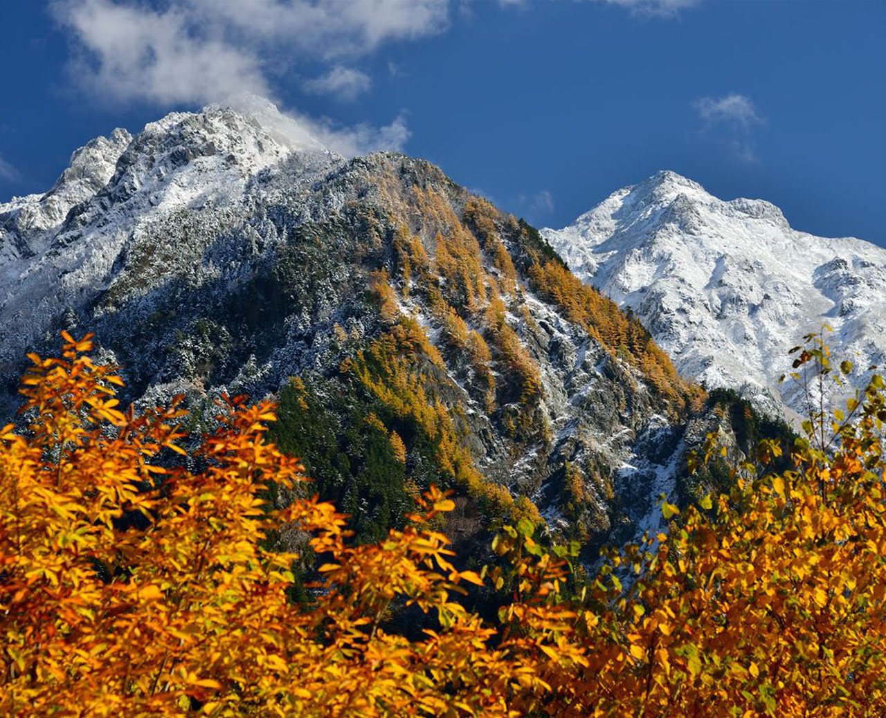 �P�P���@���H����~�ցI��