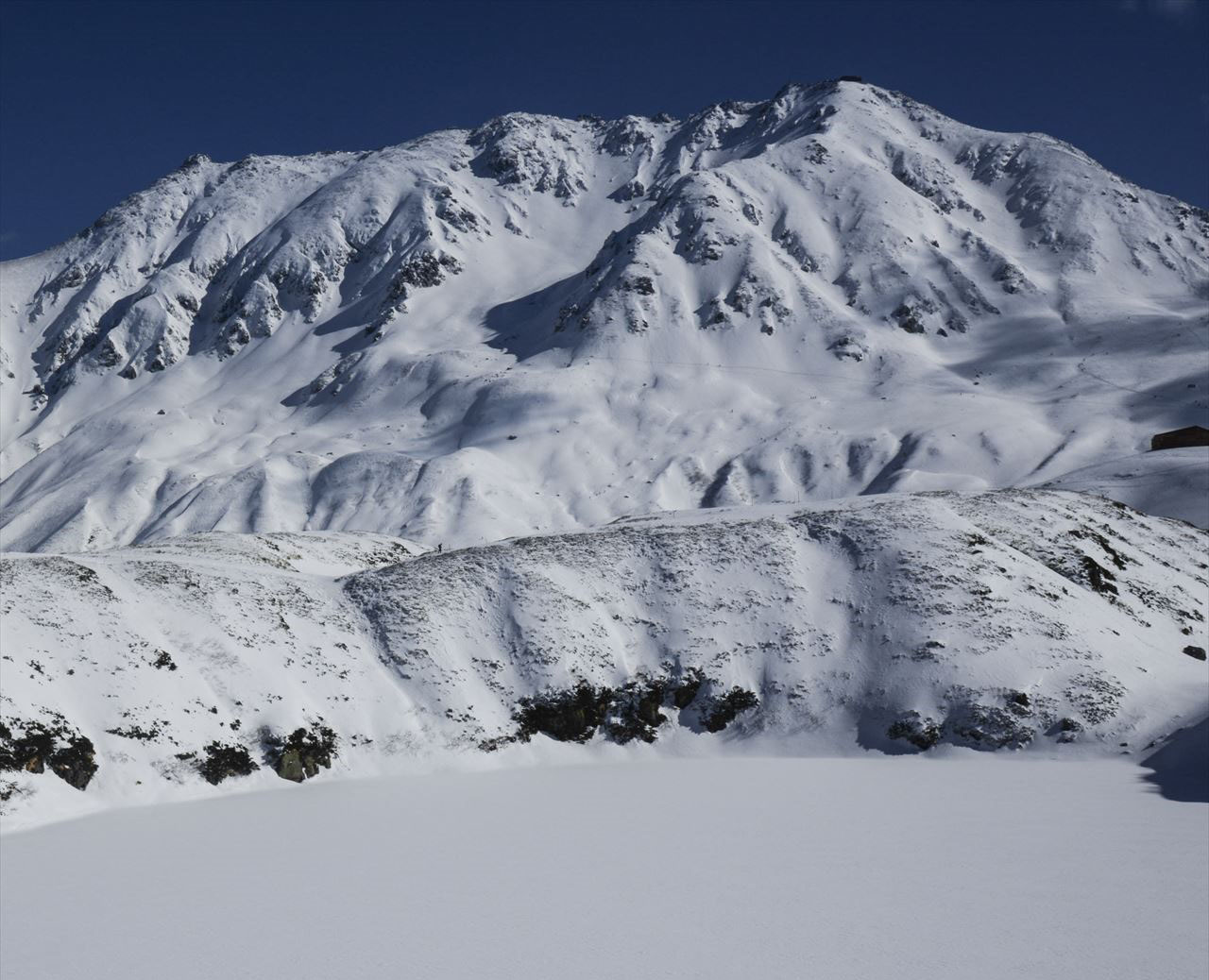 �P�Q���@����Z���Y�R��