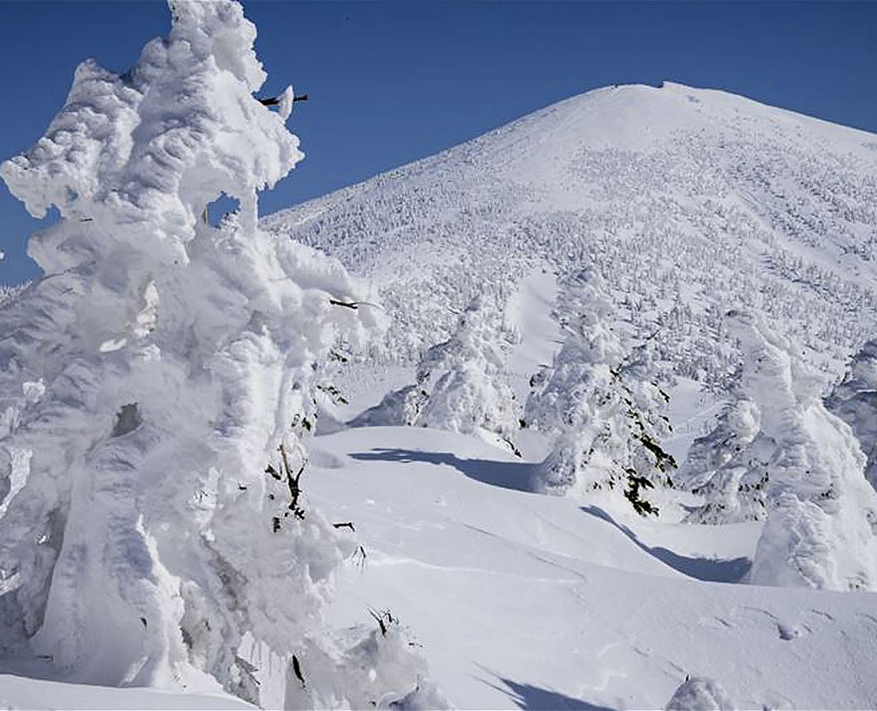 �R���@���_�O���V��