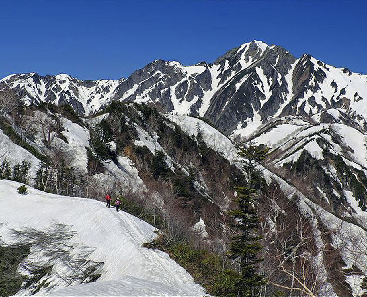 �S���@��������R�ˁ�