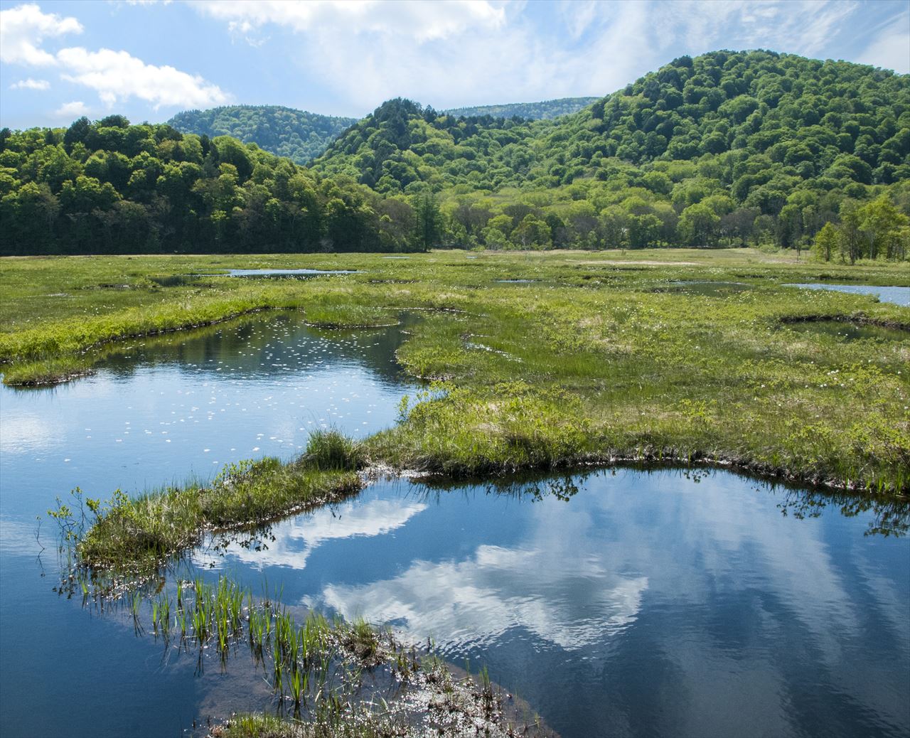  �U���@���P���r����