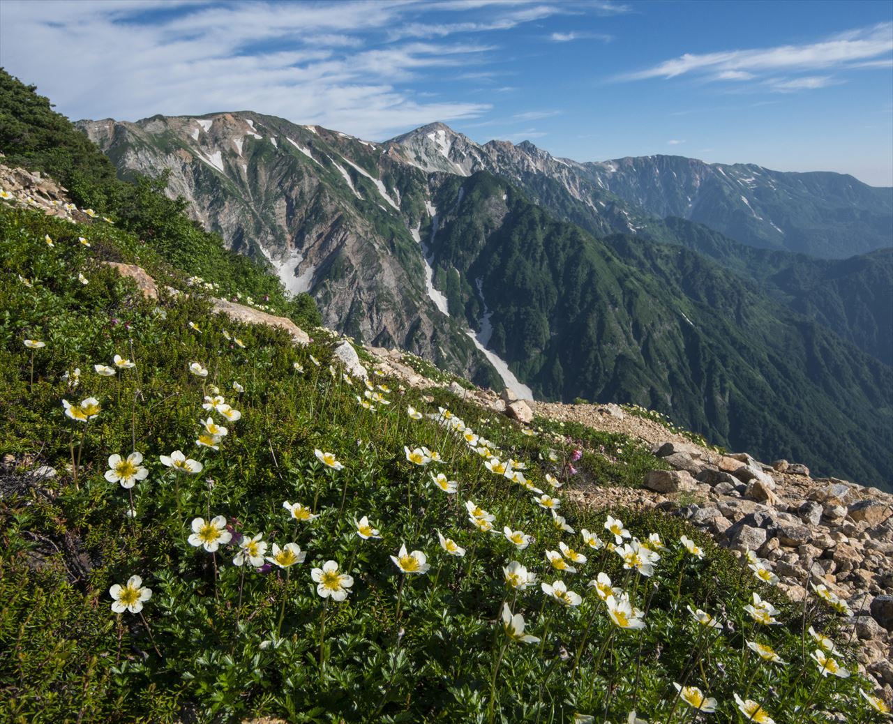 �V���@���������o���