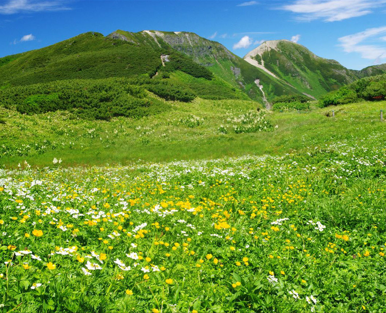 �W���@�����Ԕ����Ă�ł����