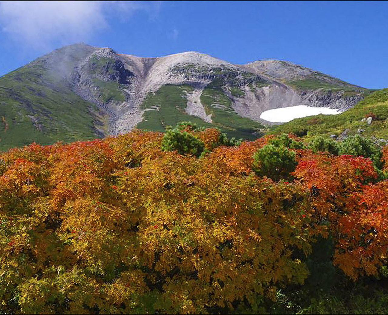 �X���@���H�F��Ɗx��