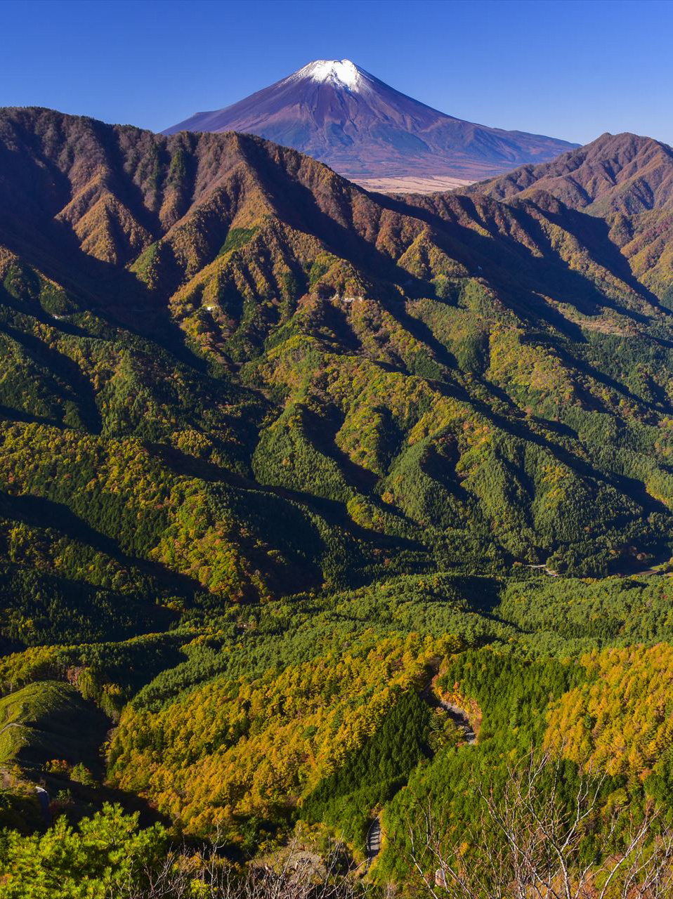 �\���@���H�F���ނ��遄