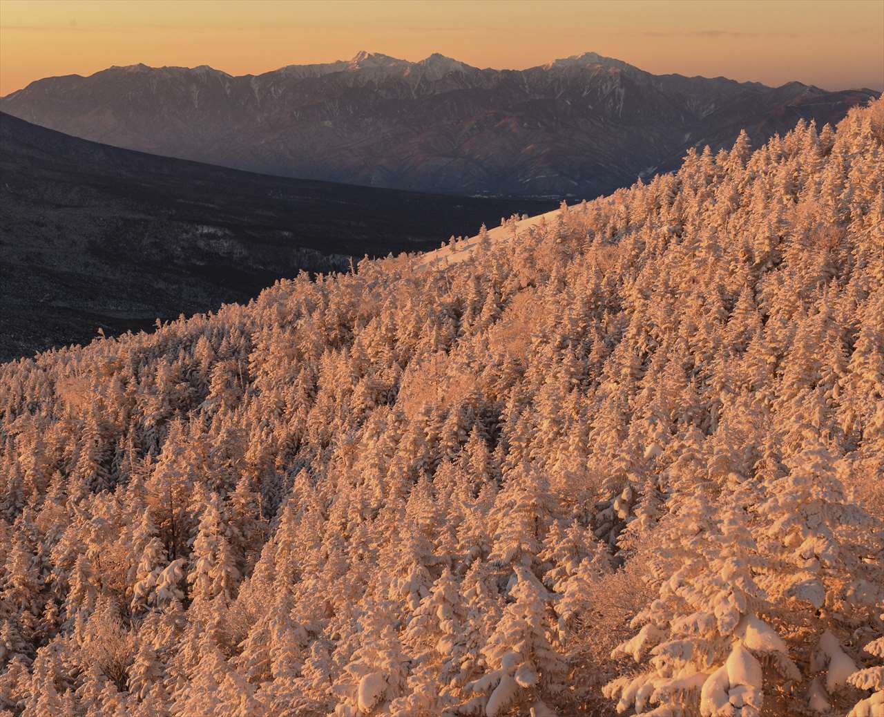 �P���@�ʎ�