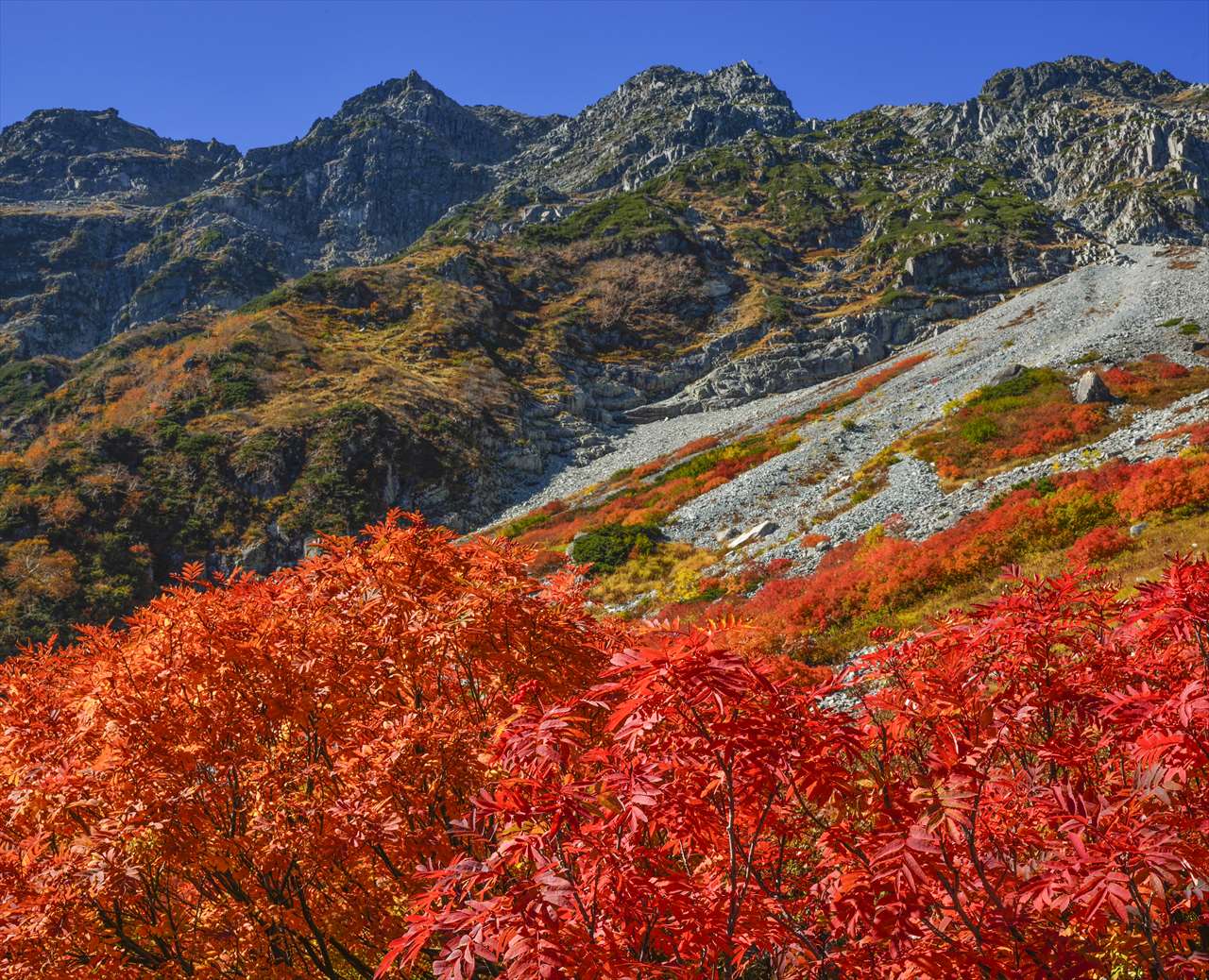 �P�O���@�g�F����