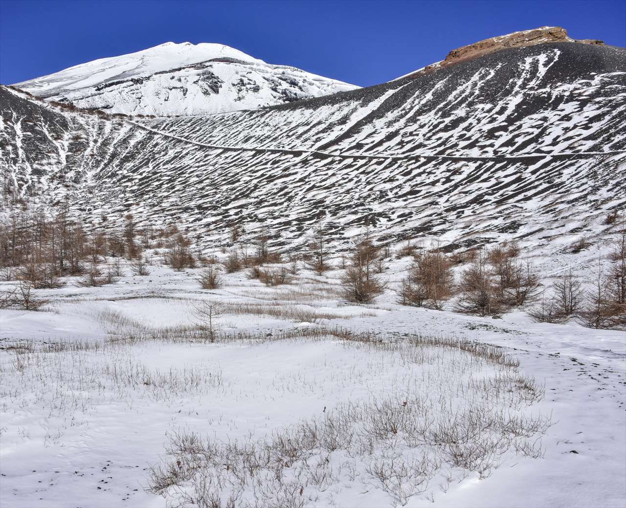 �P�P���@���t���a�̑������