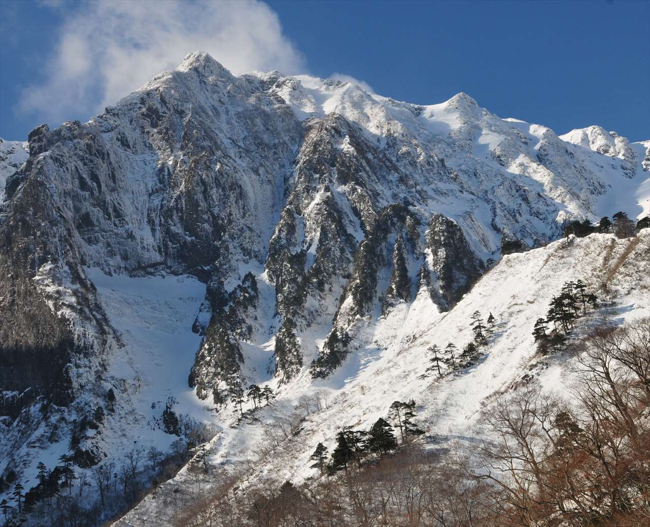 �P�Q���@�~����ɋP ��m�q�x