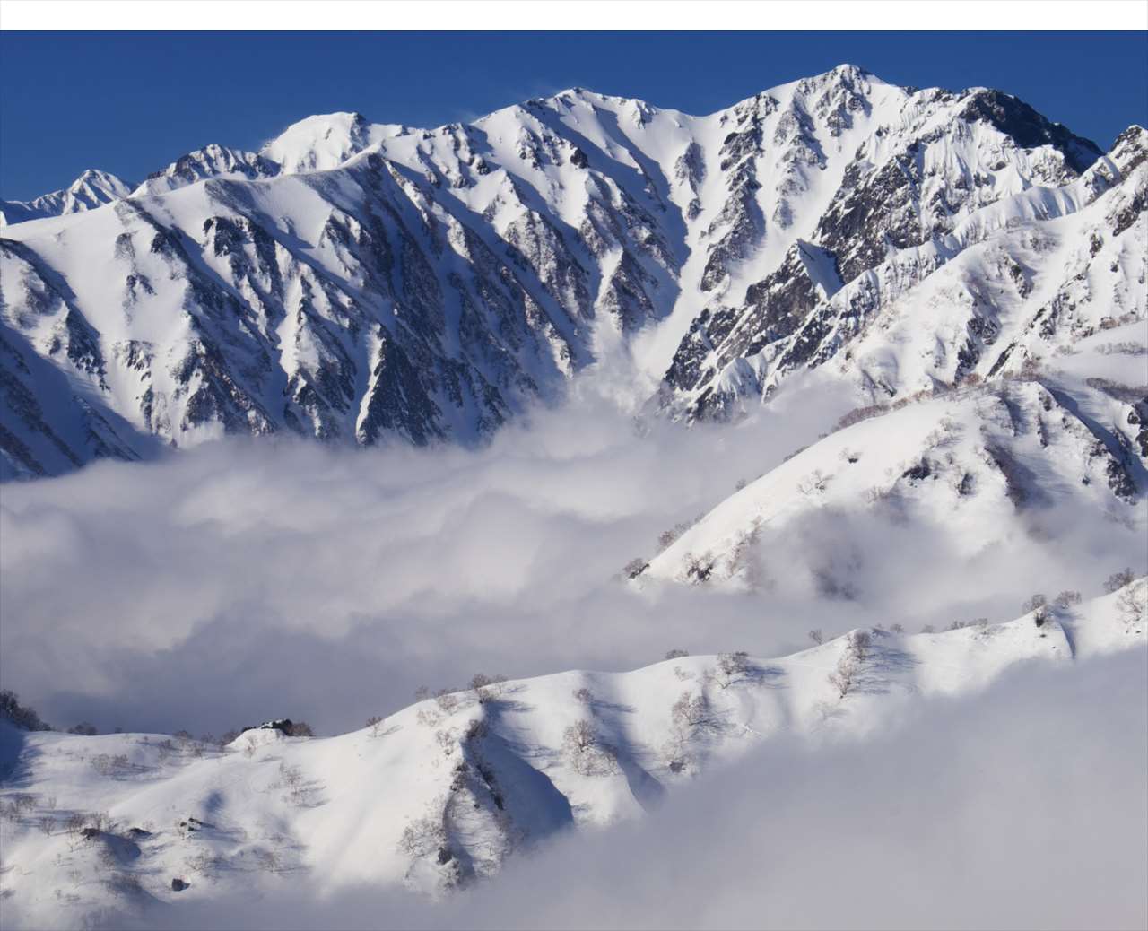 �R���@�_�킭���