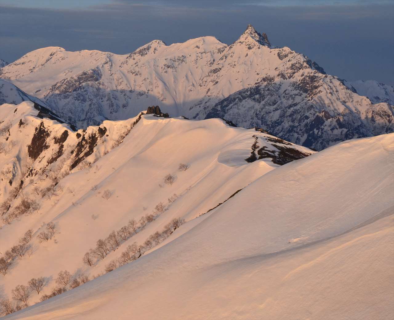 �S���@�ЂƂƂ��̋P��