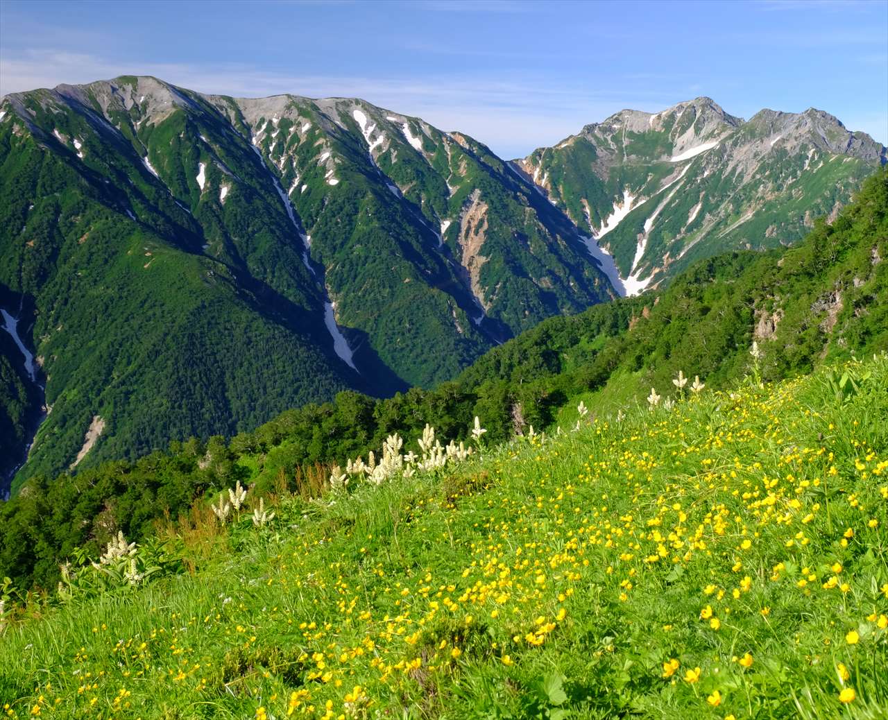 �V���@���ԁ@�Ă�����