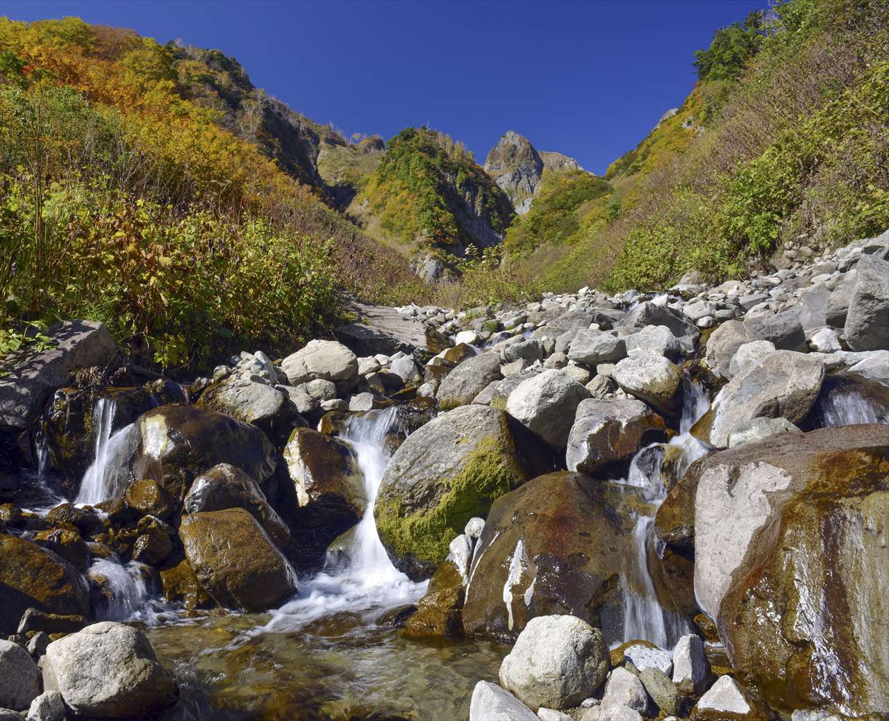 �X���@���w