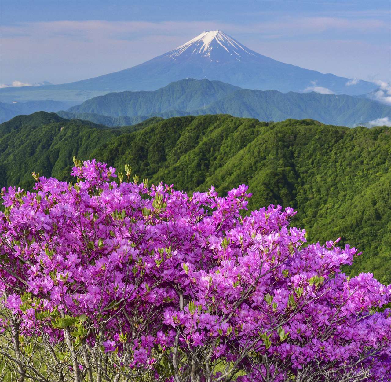 �\���@���؂₩�ɕx�m�����߂ā�